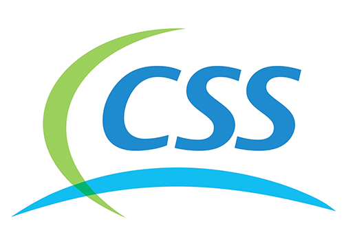 CSS技術開発